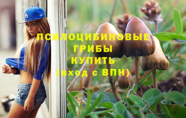 наркотики Алексин
