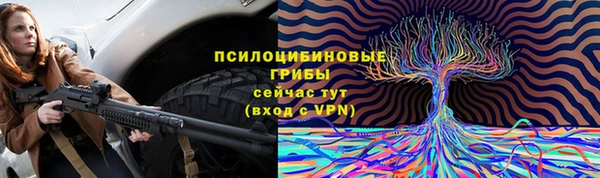 тгк Алзамай