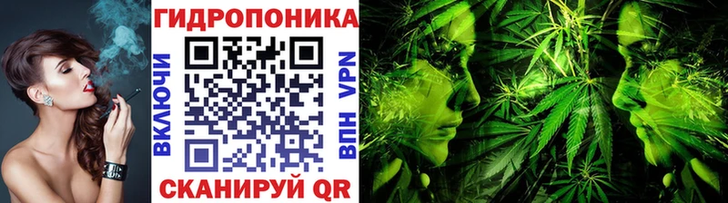 Шишки марихуана гибрид  KRAKEN tor  Красноуральск 